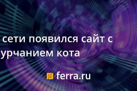 У мережі з'явився сайт із мурчанням кота
